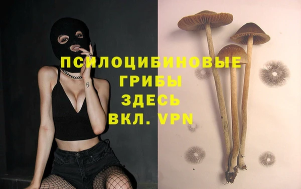 а пвп мука Медвежьегорск