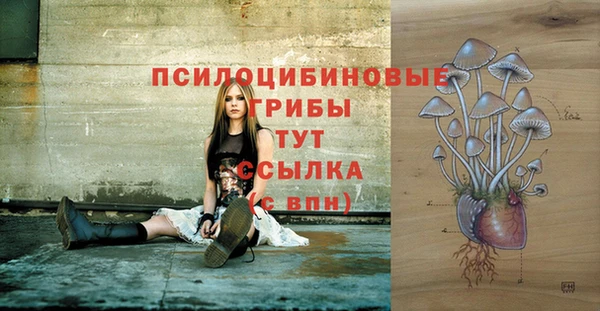 альфа пвп Медногорск