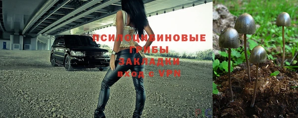 спиды Мегион