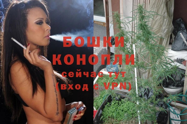 альфа пвп Медногорск